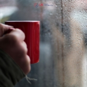 Here are 5 foods which will keep you warm in Winter thanks to UK Food Intolerance
