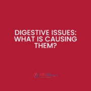 Digestive Issues: What is causing them?