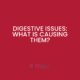 Digestive Issues: What is causing them?