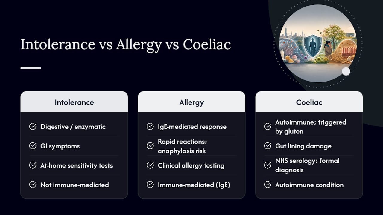 Diagram comparing intolerance, allergy, and coeliac disease