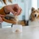 Pet hair sample collected for allergy testing