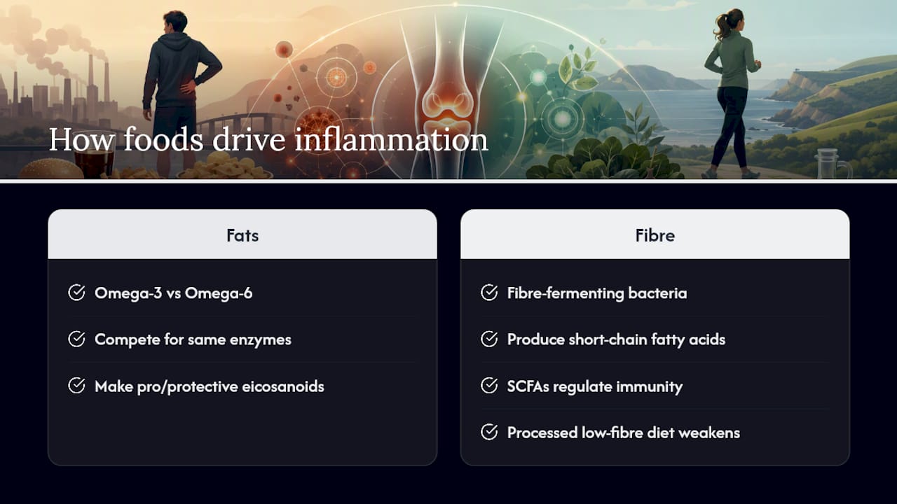 Dietary pathways influencing joint inflammation