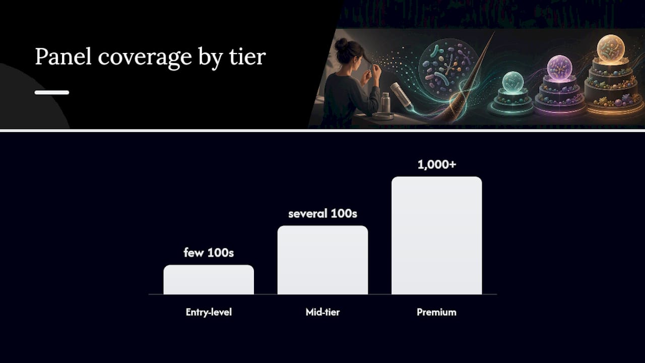 What the accuracy limits and pricing actually mean — overview diagram