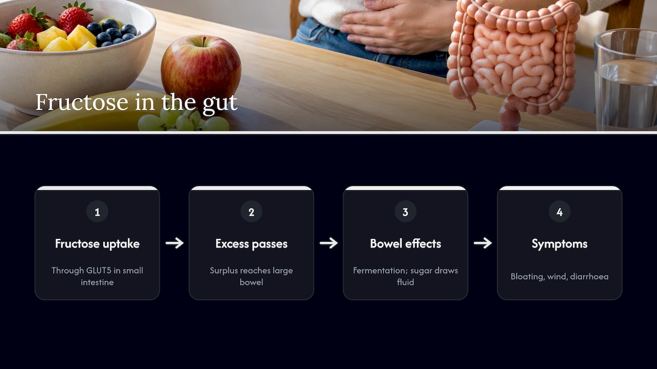 How unabsorbed fructose can cause gut symptoms