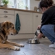 Dog resting beside a freshly filled water bowl