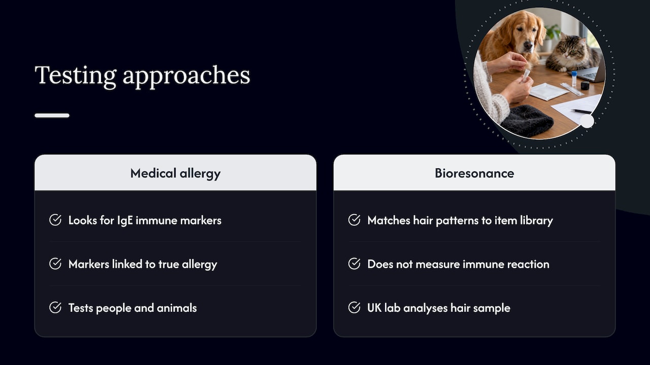 Comparison of IgE allergy tests and hair analysis